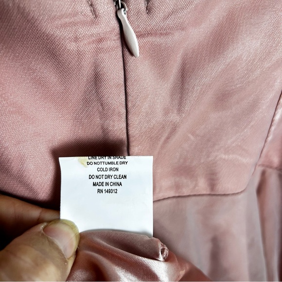 Selfie Leslie SMITTEN LACE INSERT TULLE MIDI DRESS BLUSH NEW! SZXL - Picture 14 of 15